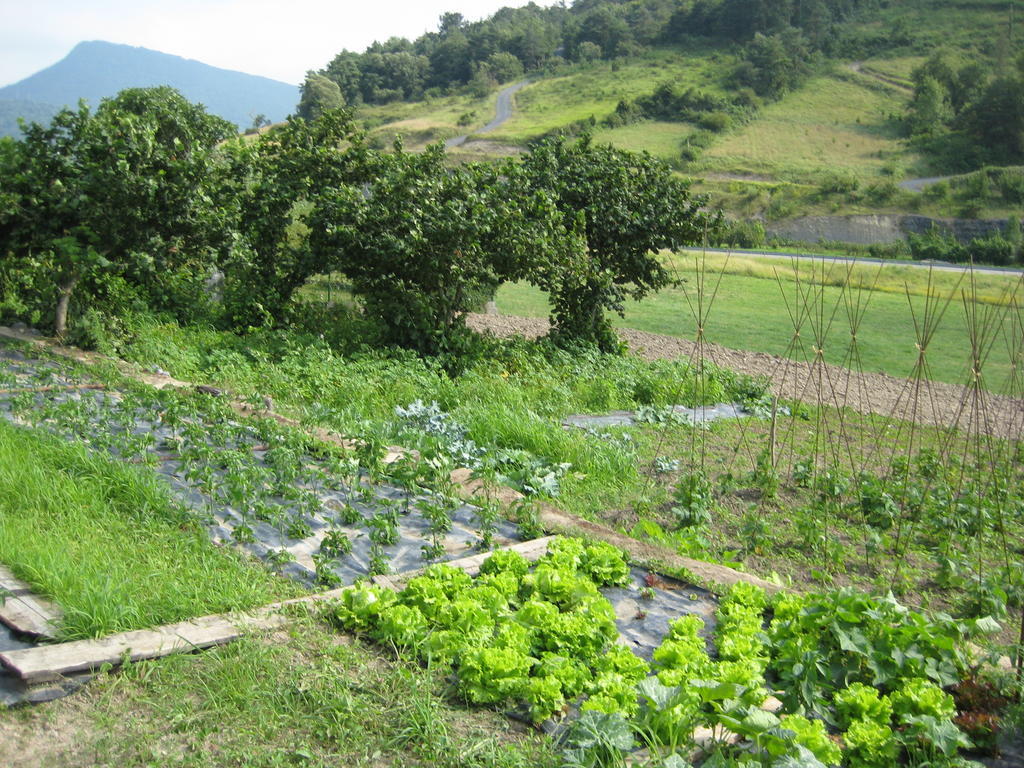 Casa Rural Garabilla Llanteno Zewnętrze zdjęcie